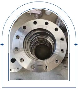 Duplex Flange