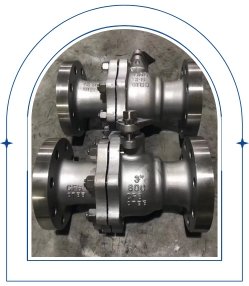 Duplex Valves