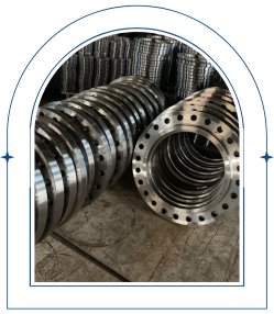 Hastelloy Flange