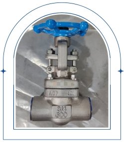 Monel Valves