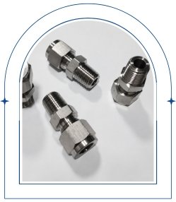 Stainless Steel Ferrule Fittings