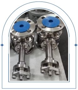 Stainless Steel Valves