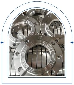 Super Duplex Flange